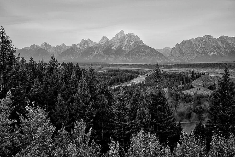 Snake River Overlook 3 Black and White Photograph by Judy Vincent