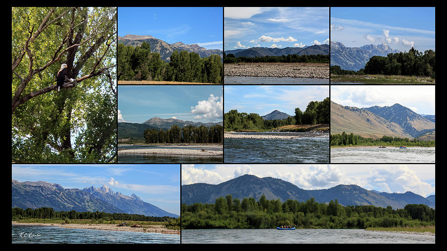 Snake River - U.S. National Parks - Scenic Collage  Photograph by Ronald Reid