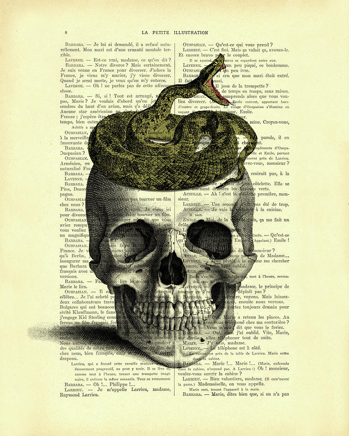Snake Digital Art - Snake Skull by Madame Memento