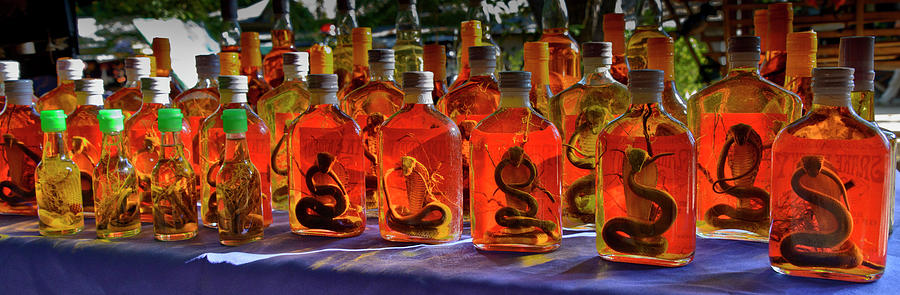 Snake Whiskey Photograph