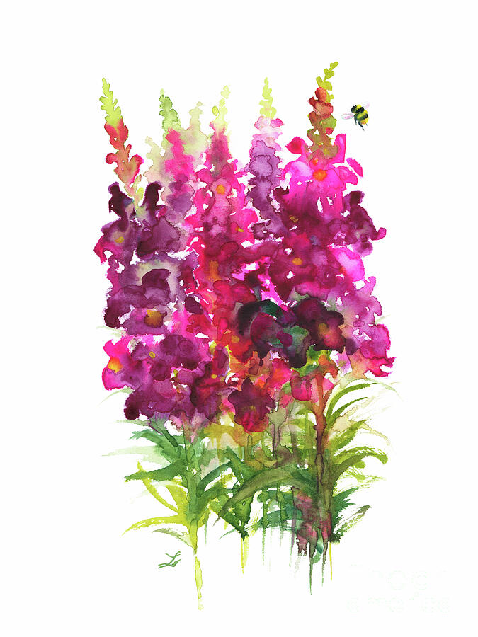 Snapdragons and Bumblebee Painting by Zaira Dzhaubaeva