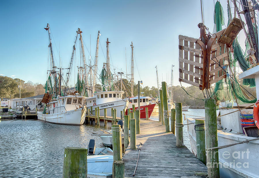 Sneads Ferry Fleet #7708 Photograph by Susan Yerry - Fine Art America