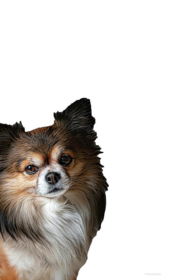 Sneak Peek - Chihuahua Digital Art by Donna Watson-Hall and Art Crew NZ