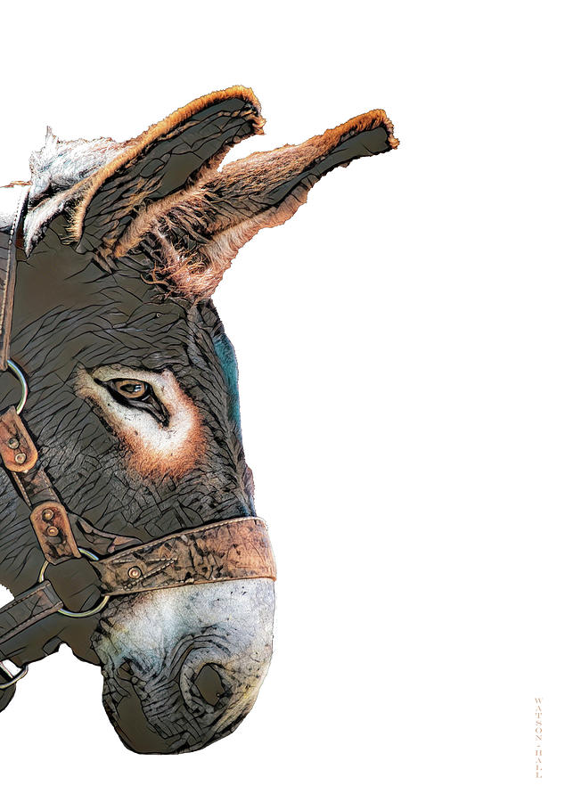 Horse Digital Art - Sneak Peek - Donkey by Donna Watson-Hall and ArtcrewNZ