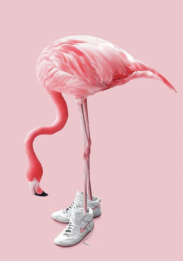 Flamingo Digital Art - Sneaker-Flamingo by Avaan Derson