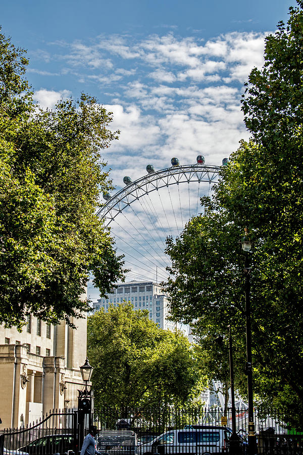 London Photograph - Sneaky Eye by Jean Haynes