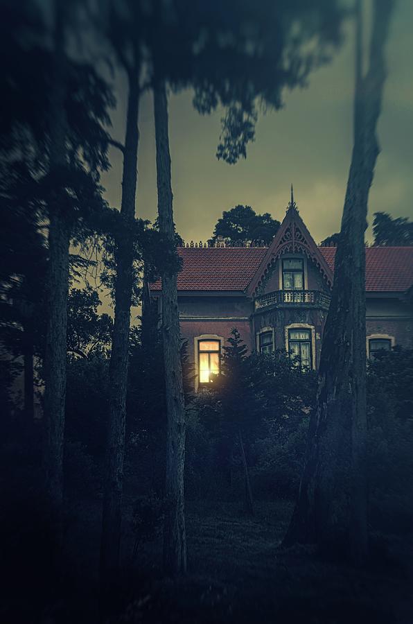 Snister House in the Woods Photograph by Carlos Caetano