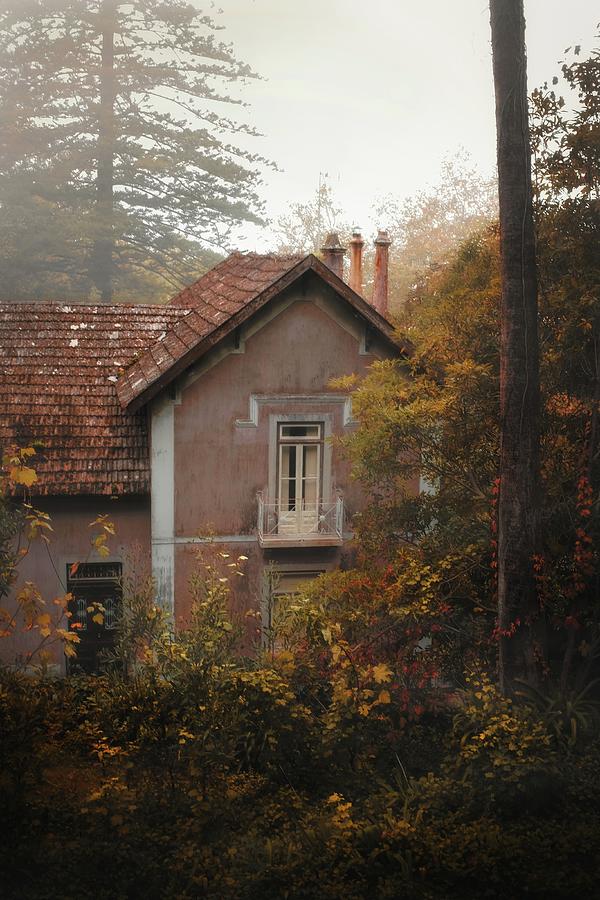Fall Photograph - Snister House in the Woods II by Carlos Caetano