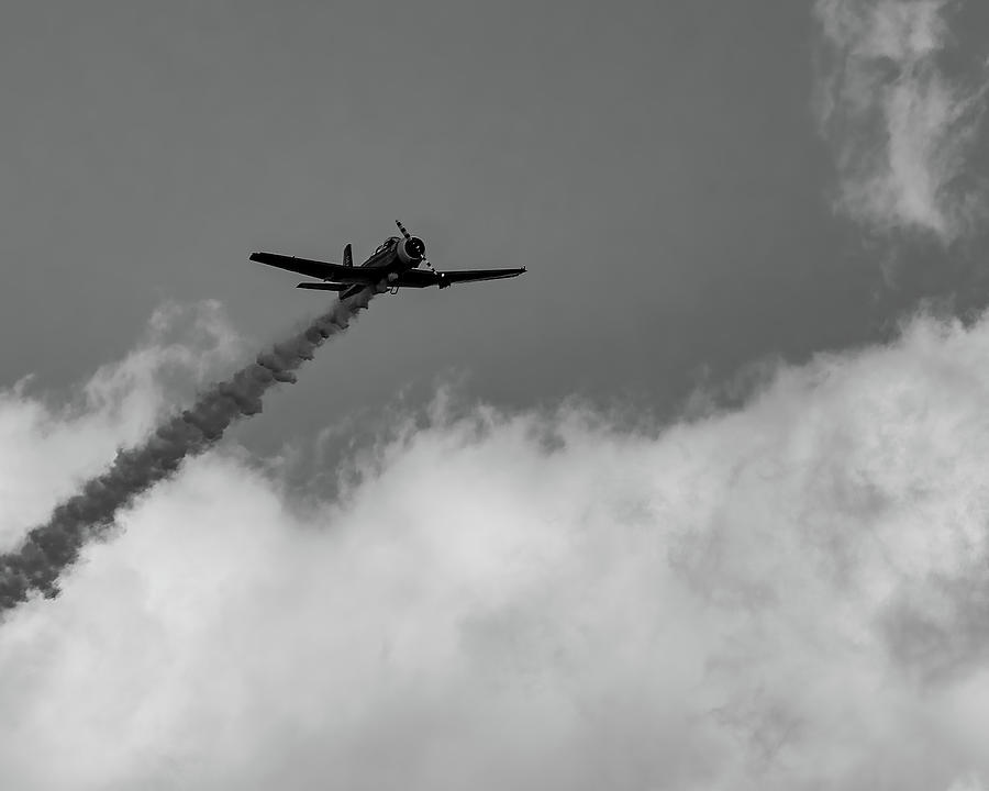 Snj 5  -bw002 Photograph by Flees Photos