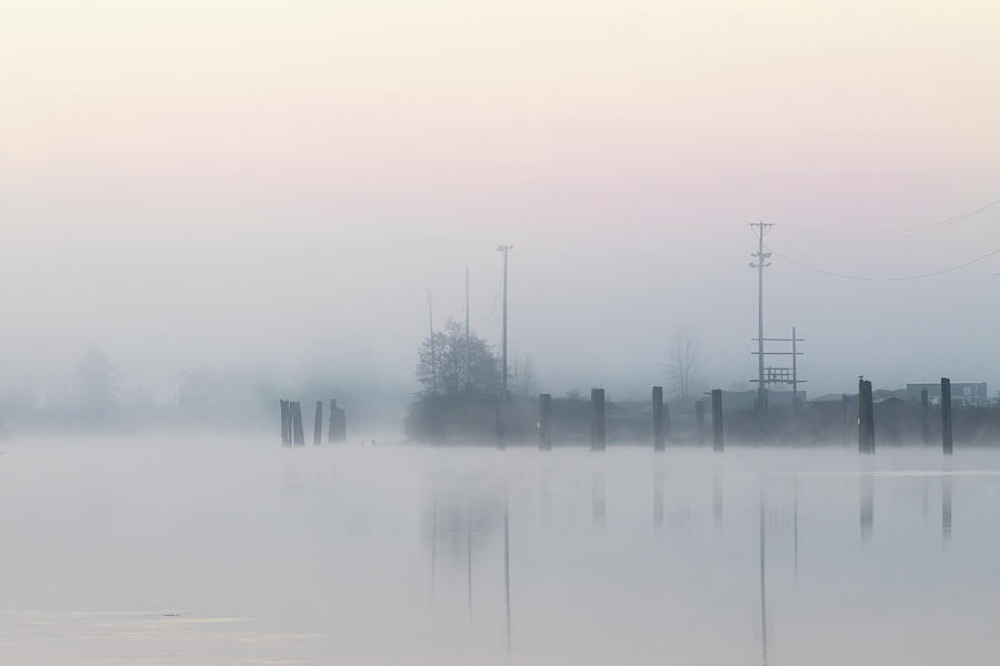 Snohomish River In The Early Morning Fog - Washington State Usa Photograph