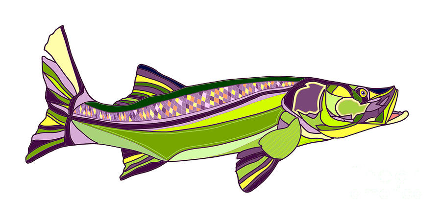 Snook Fish Digital Art by Robert Yaeger - Pixels