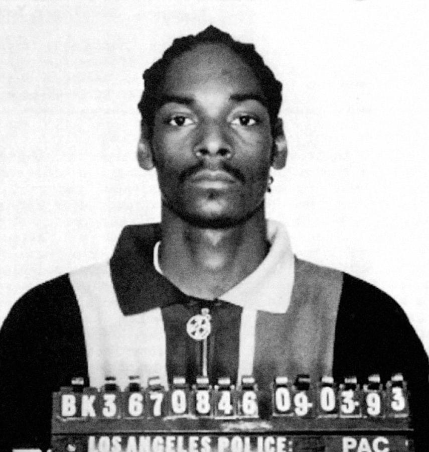 Snoop Dogg Mug Shot Mugshot Painting by Tony Rubino