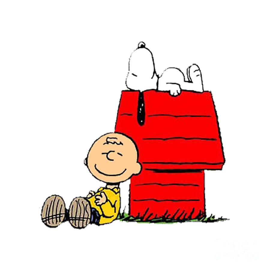 Snoopy and Charlie Brown Sleeping Digital Art by Arley Masquot | Pixels