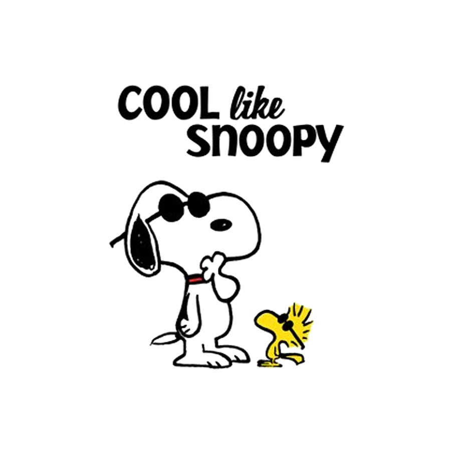 Snoopy Woodstock Music Poster by Aaron A Murphy - Fine Art America