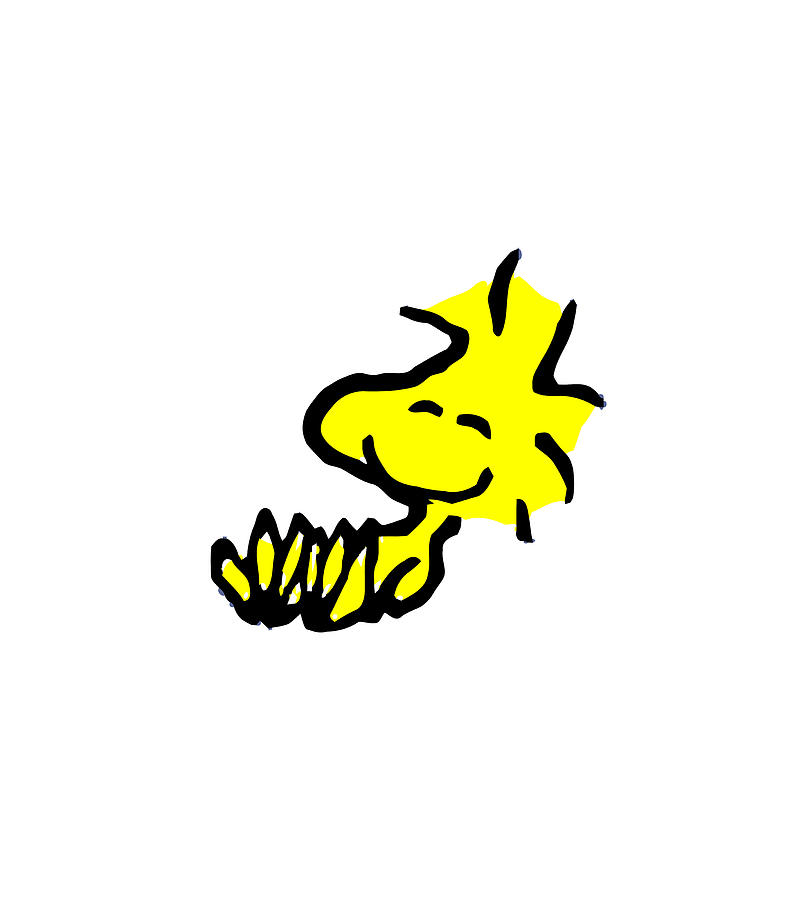 Snoopy Woodstock Digital Art By Peter B Lutes