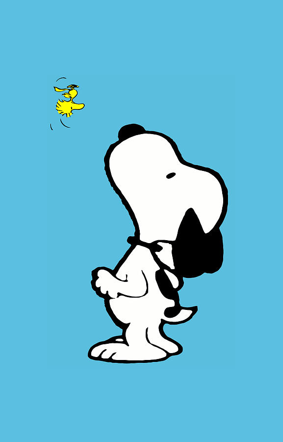 Download free Snoopy And Woodstock Roller-skating Wallpaper -  MrWallpaper.com