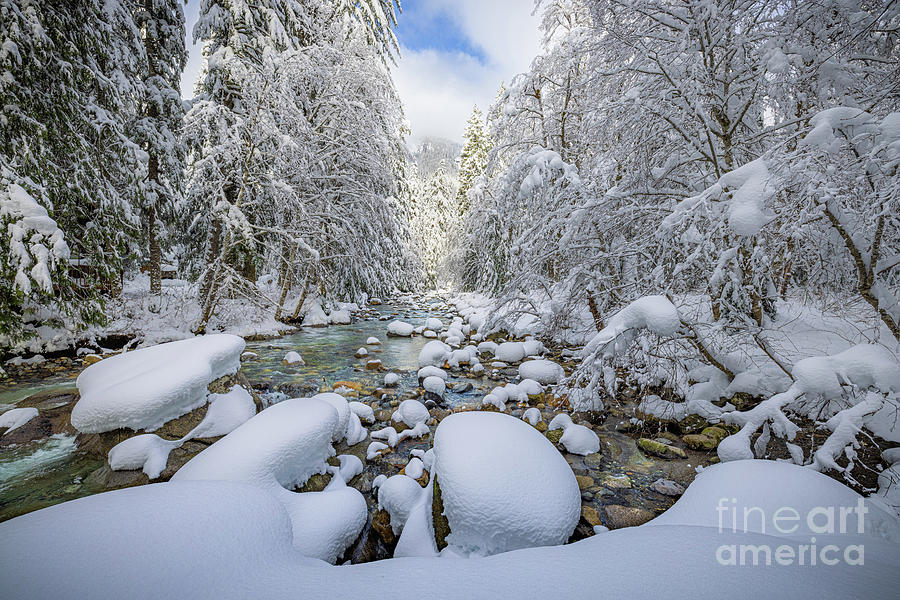 Snoqualmie River in winter Photograph by Inge Johnsson