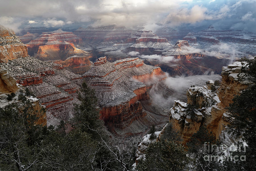 Snow and Fog on Winter Morning at Grand Canyon National Park Photograph by Tom Schwabel