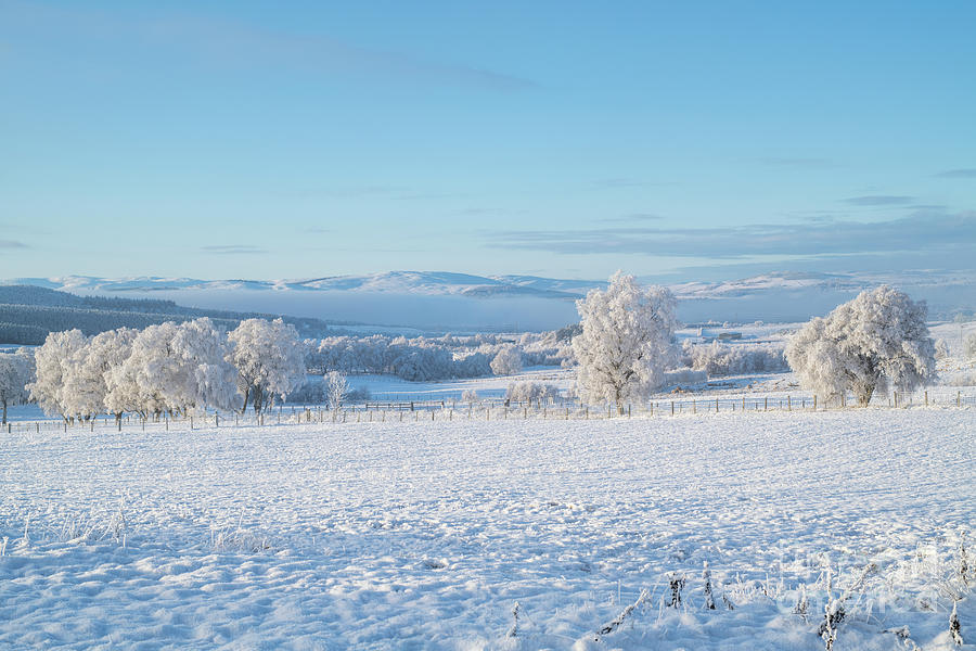 Snow and Hoar Frost in the Morayshire Countryside  Photograph by Tim Gainey