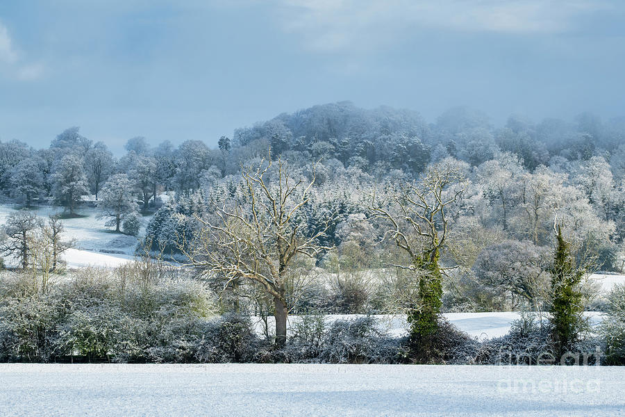 Snow and Mist on a Spring Morning in the Cotswold Countryside Photograph by Tim Gainey