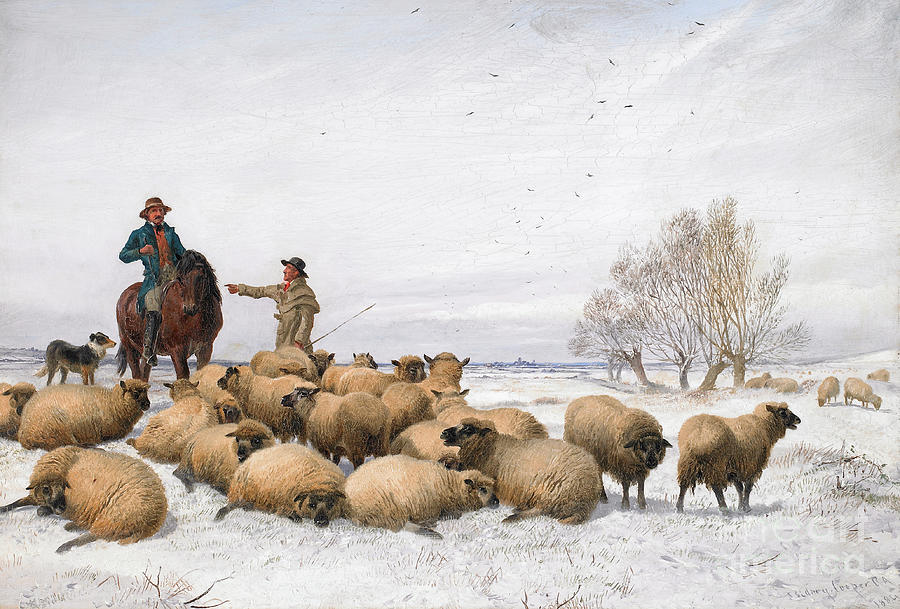 Sheep Painting - Snow and Sheep, 1884 by Thomas Sidney Cooper