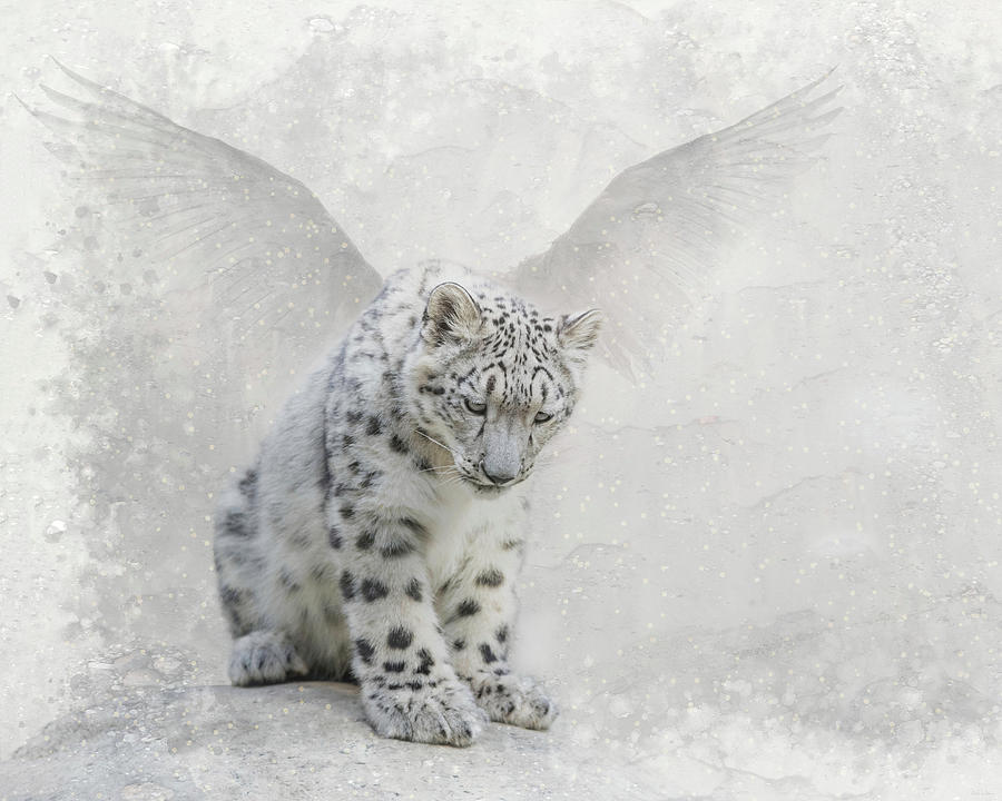 Snow Leopard Digital Art - Snow Angel by Nicole Wilde
