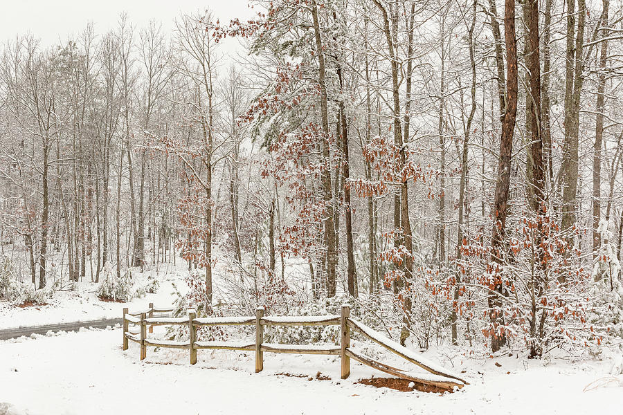 Snow Around the Corner Photograph by Joni Eskridge