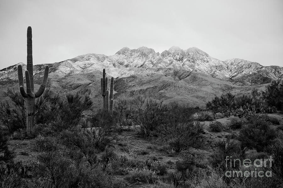 Snow at Four Peaks Park Photograph by Catherine Walters