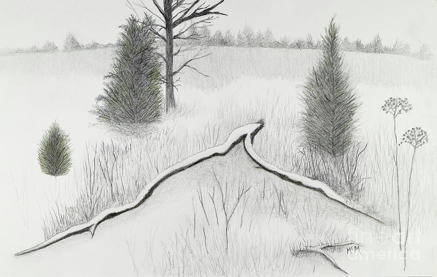 Snow at St Francois State Park in Missouri Drawing by Garry McMichael