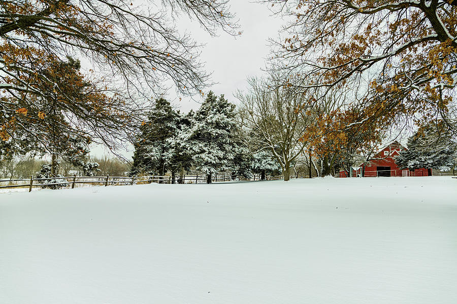 Snow at the Farm Photograph by Jay Stockhaus