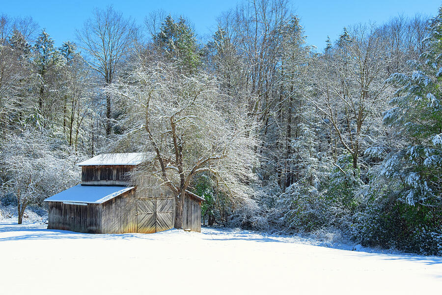 Winter Photograph - Snow Barn by Tazz Anderson