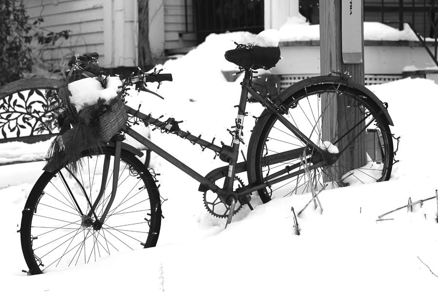Snow Bike Photograph by Donn Ingemie