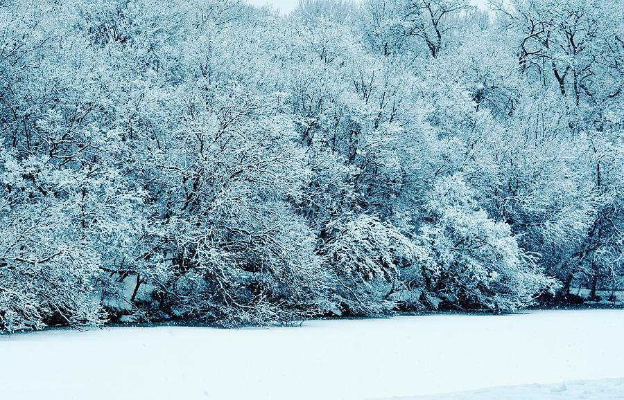 Central Park Photograph - Snow Blanket by David Polakoff