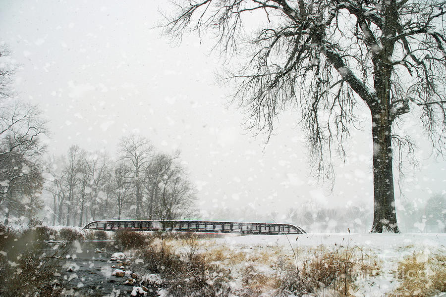 Snow Photograph - Snow Bridge by Chris Mautz Snow Photograph - Snow Bridge by Chris Mautz