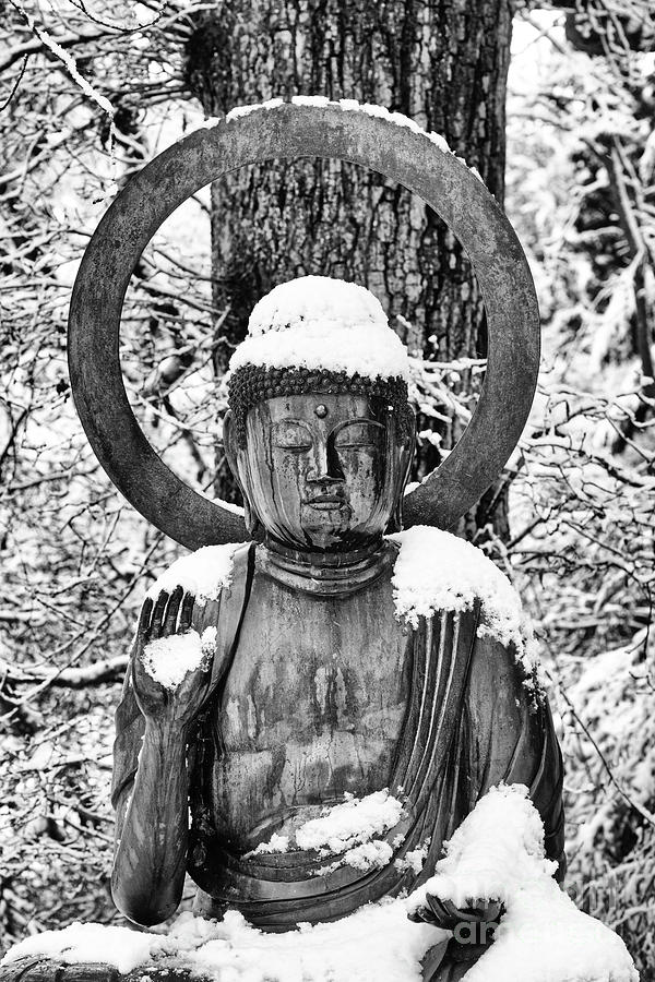 Snow Buddha Monochrome Photograph by Tim Gainey