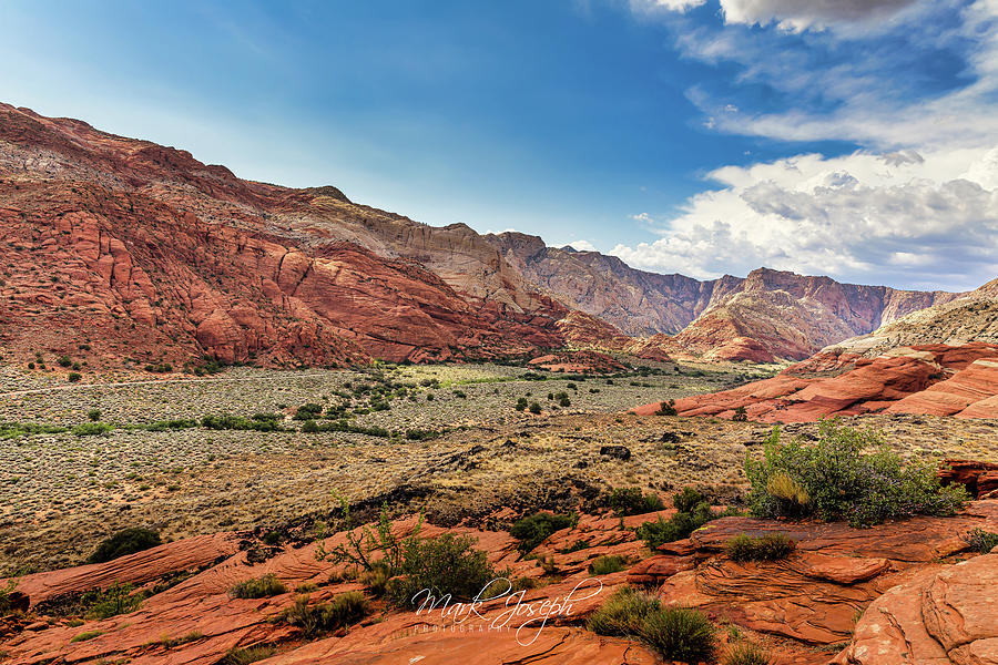 Snow Canyon State Park Photograph by Mark Joseph