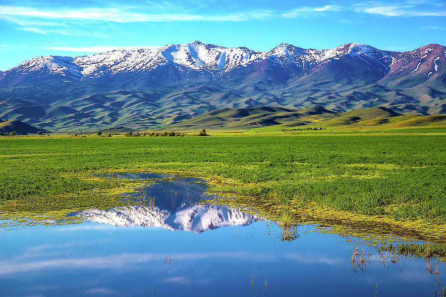 Snow Capped Mountain reflections Photograph by Dart Humeston