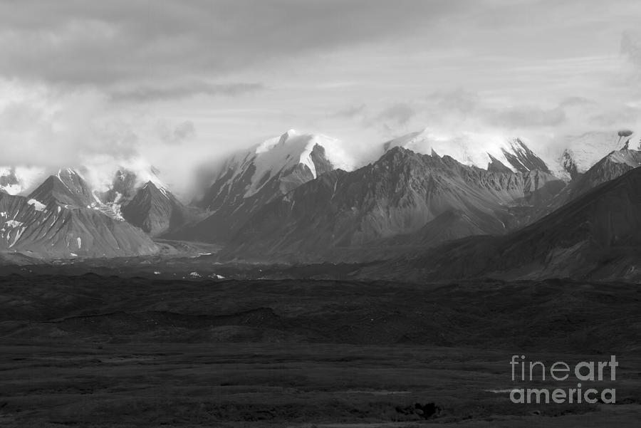 Snow Capped Mountains in Denali National Park in Black and White Photograph by L Bosco