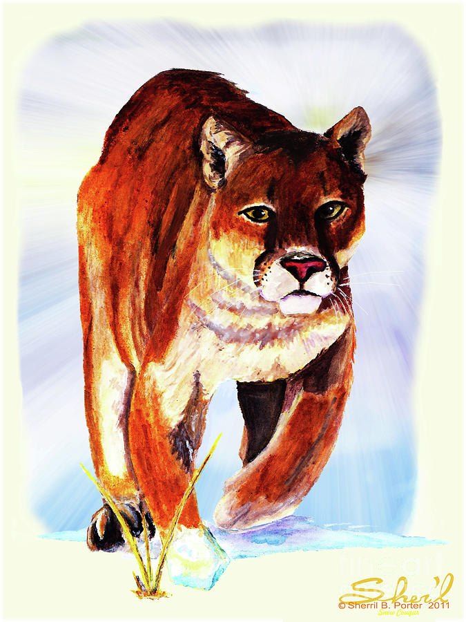Wildlife Painting - Snow Cougar by Sherril Porter