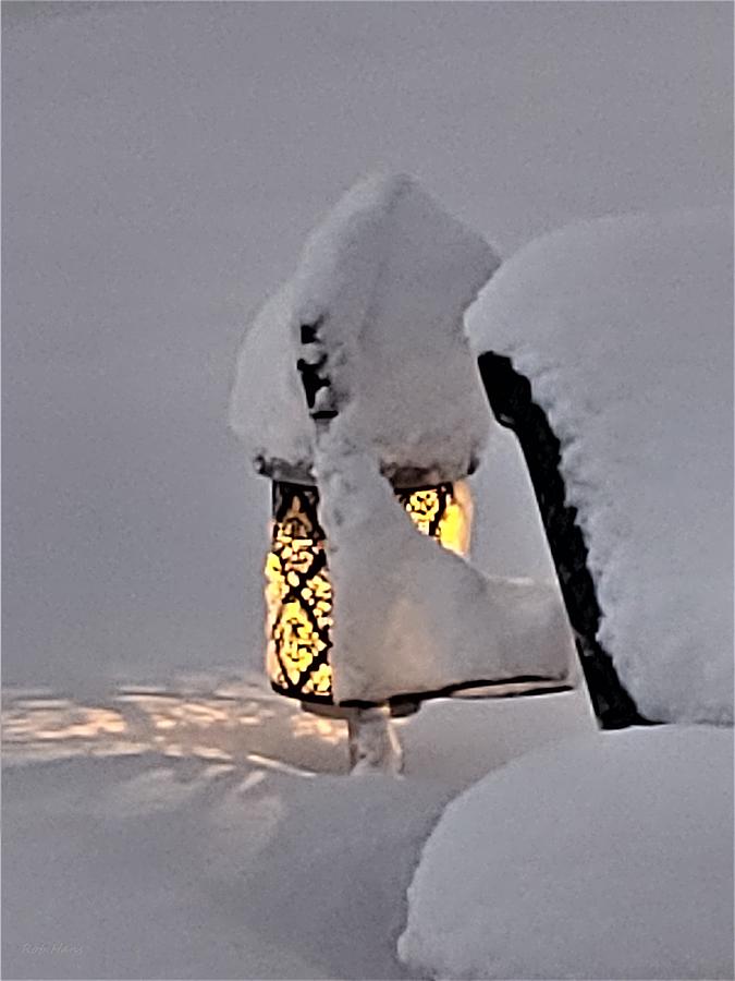 Snow Cover Light Photograph