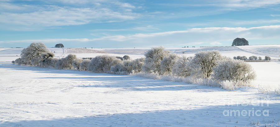 Snow covered Avebury Countryside Panoramic Photograph by Tim Gainey