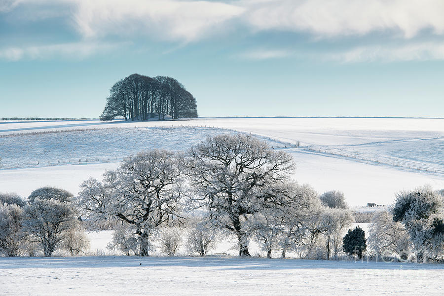 Snow covered Avebury Countryside Photograph by Tim Gainey