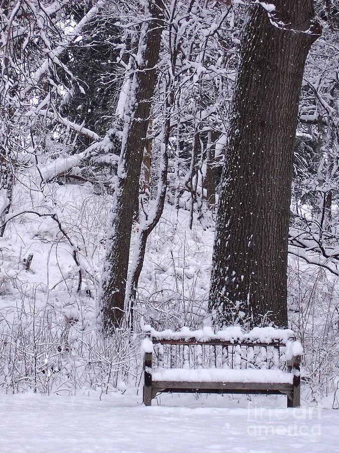 Snow Covered Bench Photograph by Phil Perkins