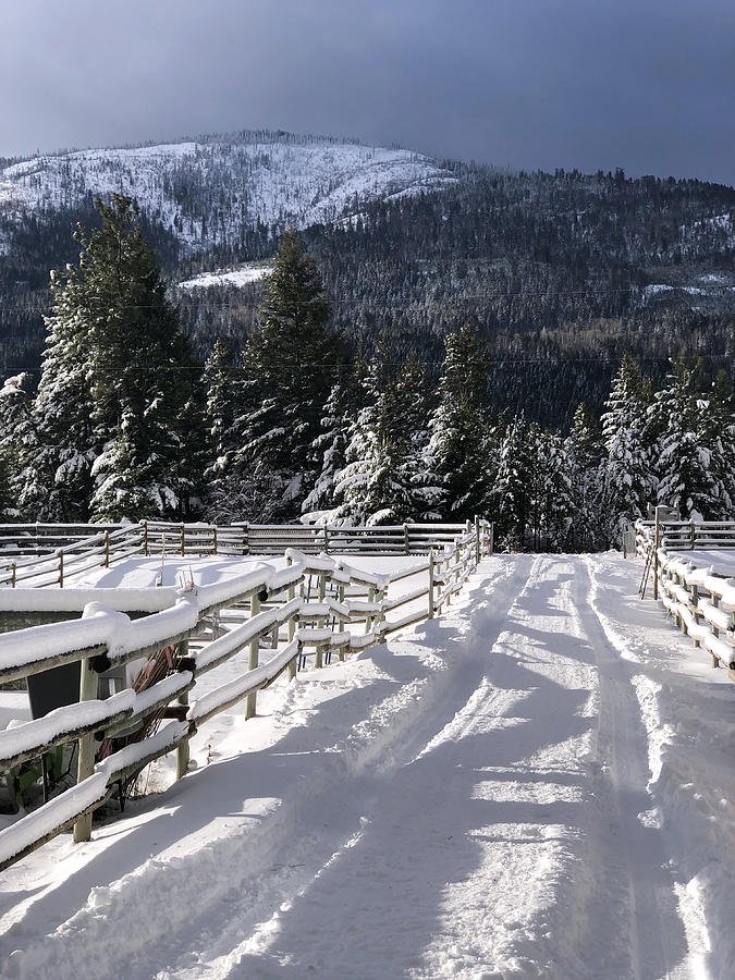 Snow covered country road, Falkland, BC, Canada Photograph by Tatiana Travelways