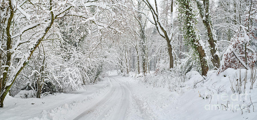 Snow Covered Country Road Near Snowshill Cotswolds Photograph by Tim Gainey