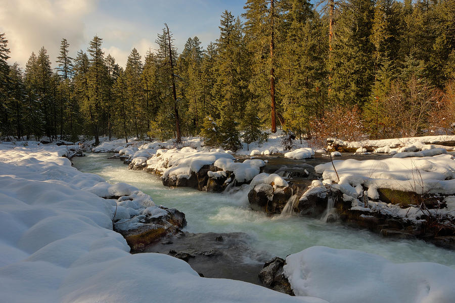 Snow covered creek, Oregon, USA Photograph by Panoramic Images