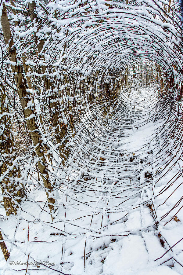 Snow covered fence vortex II Photograph by LeeAnn McLaneGoetz McLaneGoetzStudioLLCcom