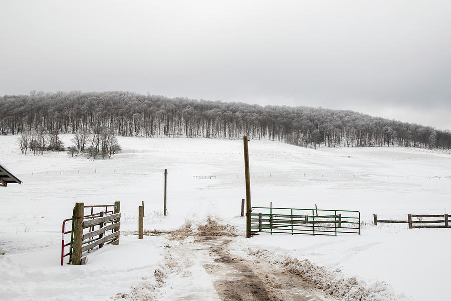 Snow covered field and gate in the winter  Photograph by Dan Friend
