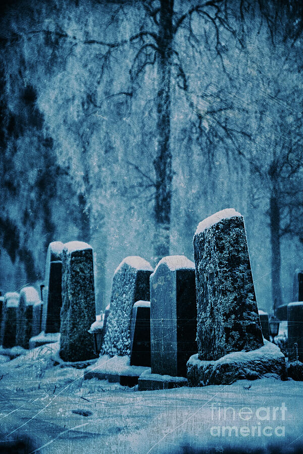 Snow Covered Graves In Forest Cemetery Photograph By A Cappellari