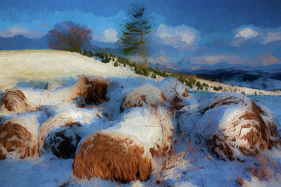 Snow Covered Hay ap Painting by Dan Carmichael
